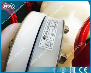 Valvola a membrana PVDF